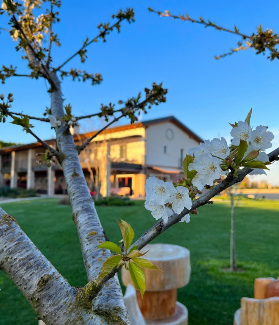 Una vecchia casa contadina ristrutturata